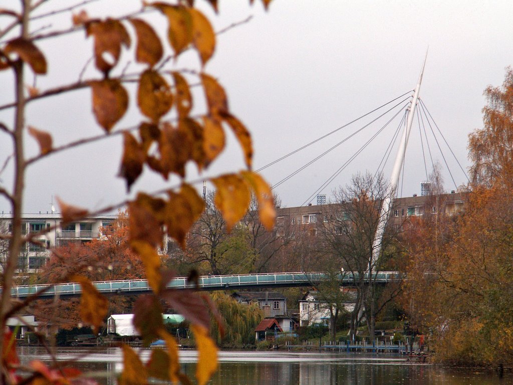 Brücke zur Rabeninsel by christine.www