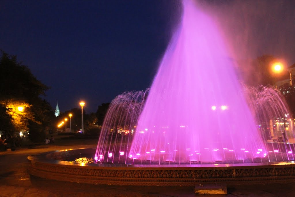 Fountain, with Wat phnom behind by jlguo