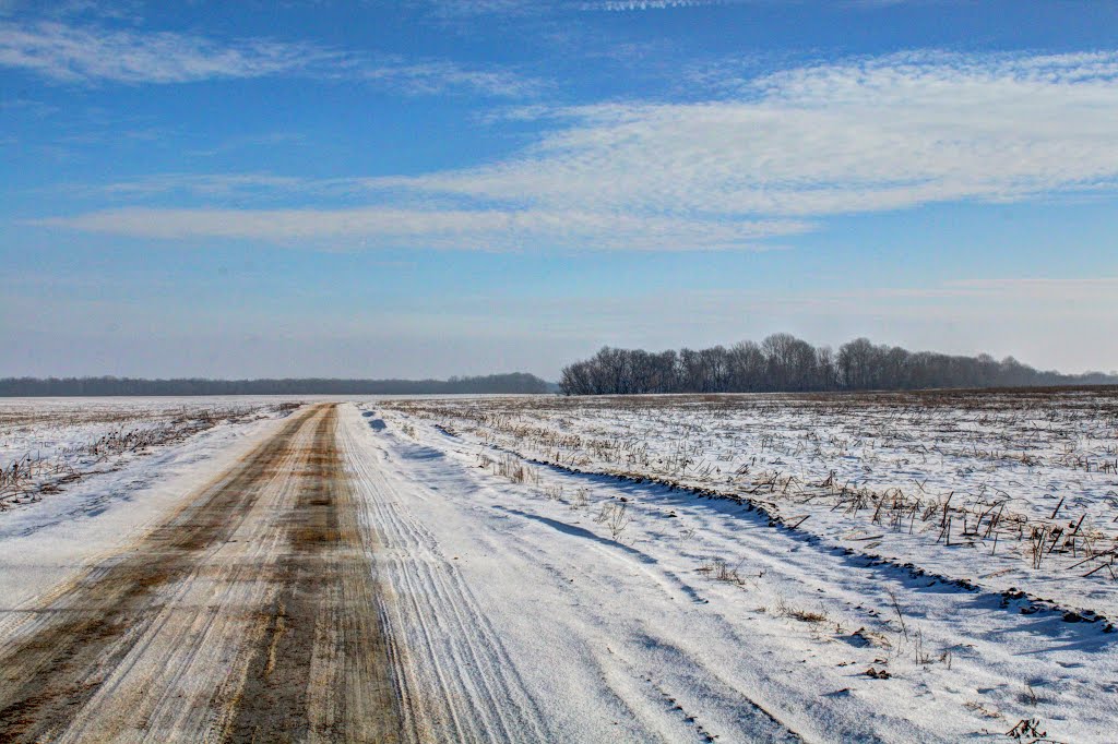 Eine Winterlandschaft by J. Radtke