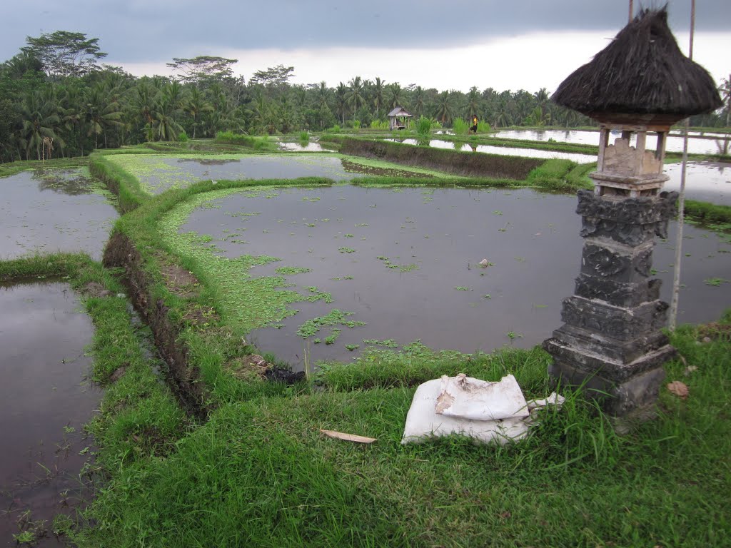 Ubud by kenner116