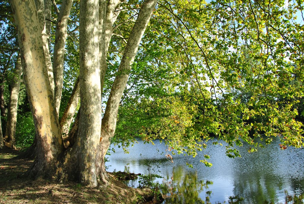 Lumières de l'Isle by this anticlinal