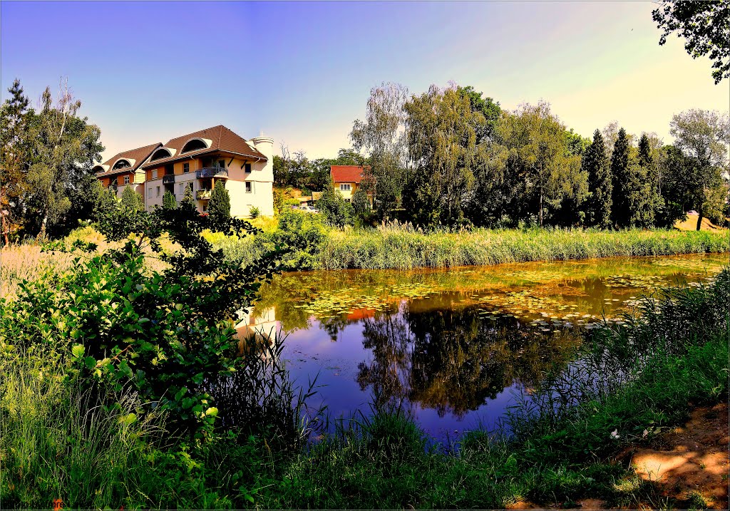 Tóparti idill . . .Lakeside idyll . . .2 by ©  Imre Lakat