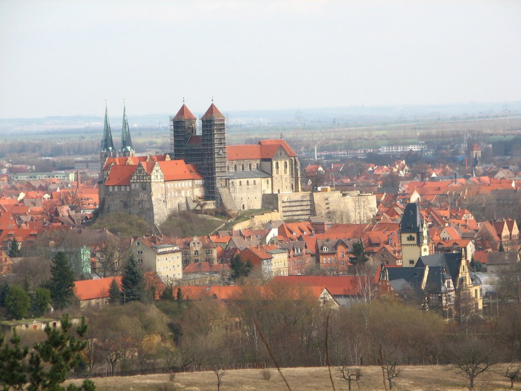 View to Quedlinburg by andreashouben