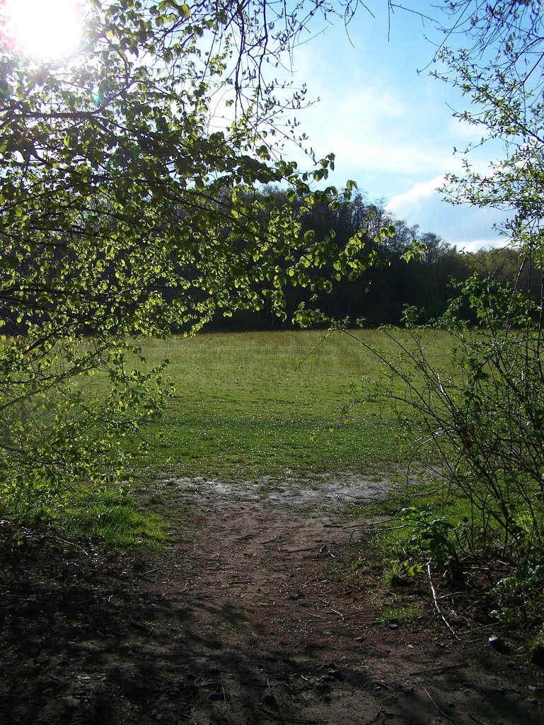 Feld an der Zeche Rheinelbe by Jawi90