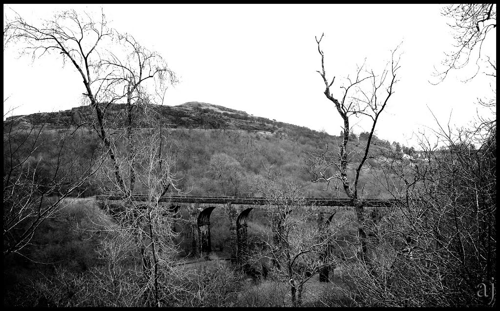 Pontsarn Viaduct built entirely out of local limestone quarried from the local railway cutting. It stands at over 90 feet high and over 448 feet long,and was built in 1886 to carry coal and lime. by anthonyjames