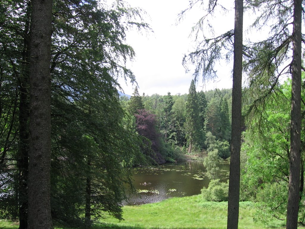 Tarn Hows by Barry Russell