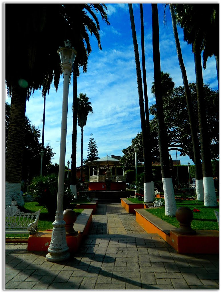 Palmeras y faroles de la Plaza de Penjamillo, Michoacán. by mcortizv