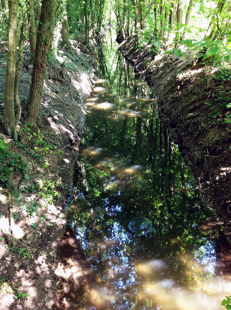 Kleiner Kanal bei Weiherfeld by munzart