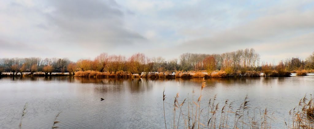 Marais de Cambrin by Flore62