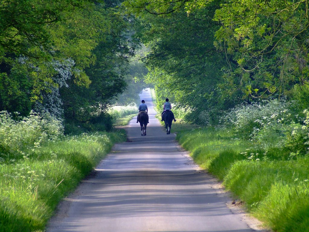 A ride down the lane, Bishop Burton by andyedwards