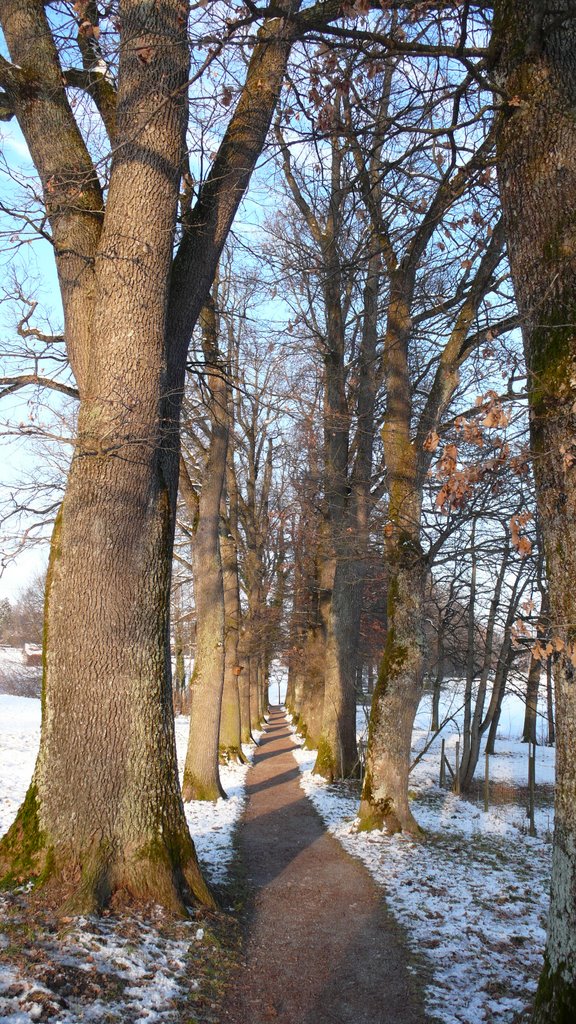 Kottmüller-Allee, Murnau by mbe