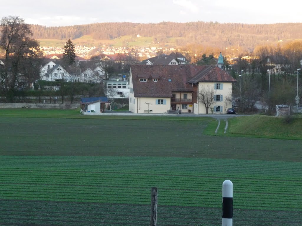 Blick auf das Fahrgut by bienenritter