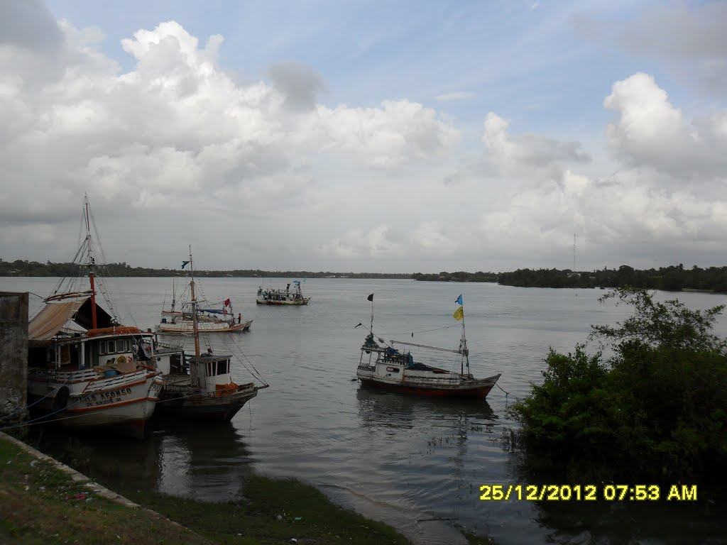 Orla do rio Paracauari. by Carlos Fernando Macedo