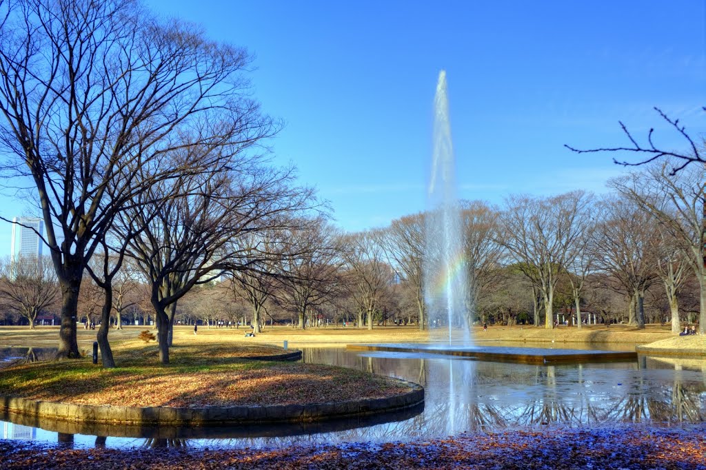 代々木公園, Yoyogi Park by kazkun