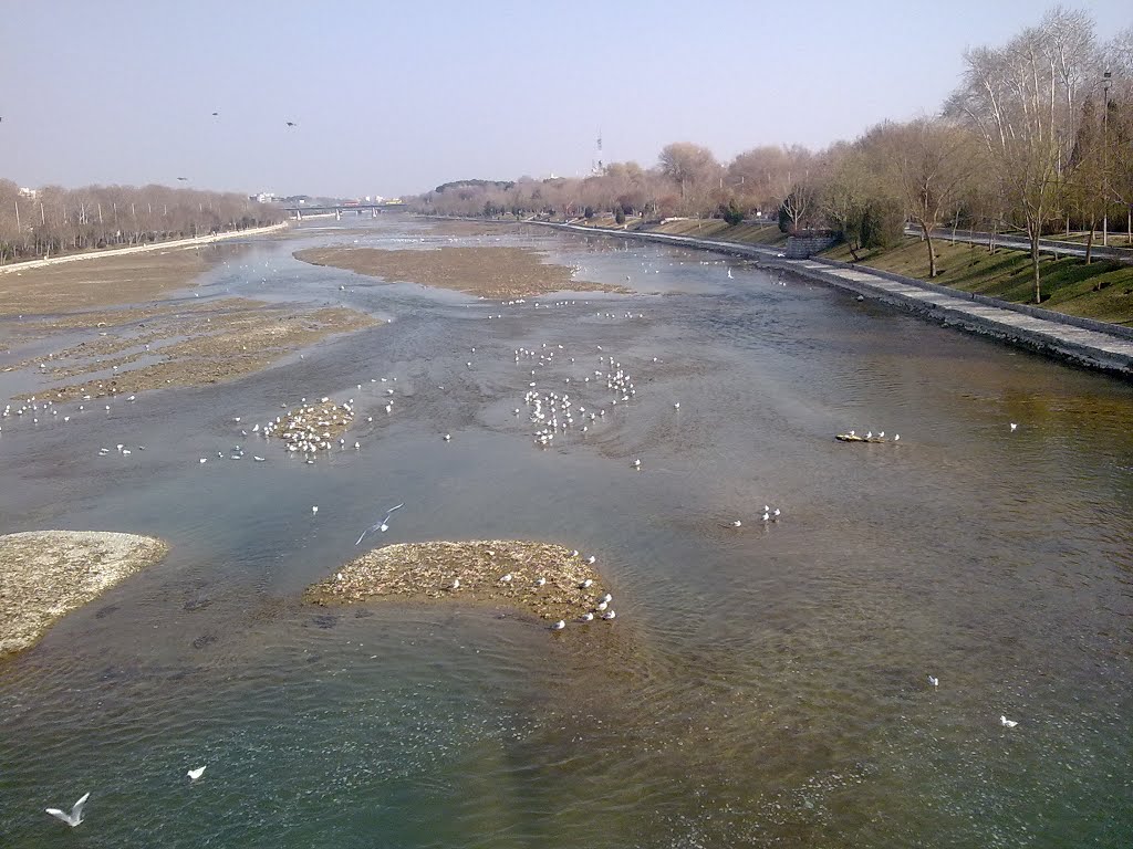 Isfahan- river by zahra khalili