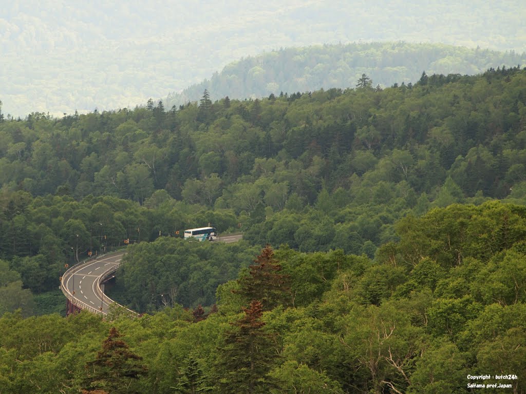 国道２７３号三国峠 / Route 273 Mikuni Touge pass by butch24h