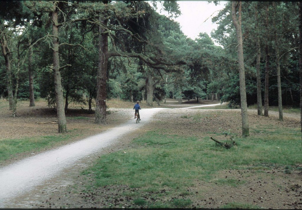 Driebergen, fietspad tussen Klein Zwitserland aan de Traay en de ingang van camping Het Grote Bos in Doorn by Jaap Stomphorst