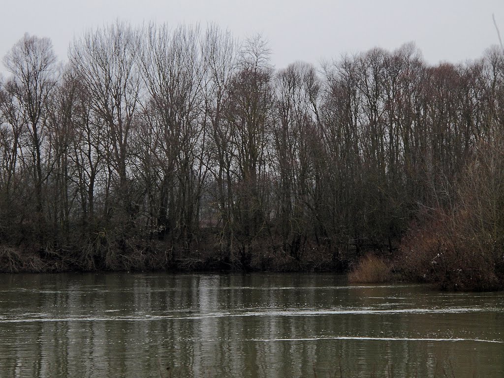 L'Ardières rejoint la Saône by Fernand Serpol