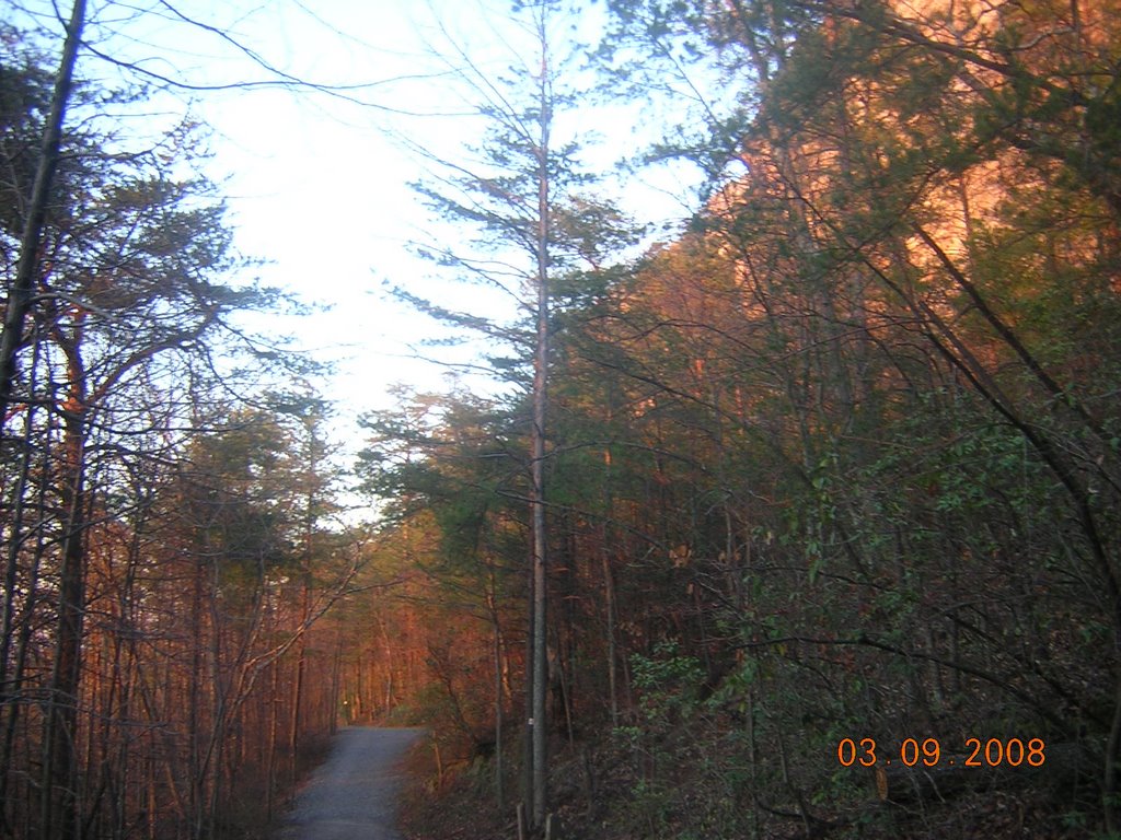 Backside Trail On Crowders Mountain 3-9-2008 by Kyle Stephen Smith