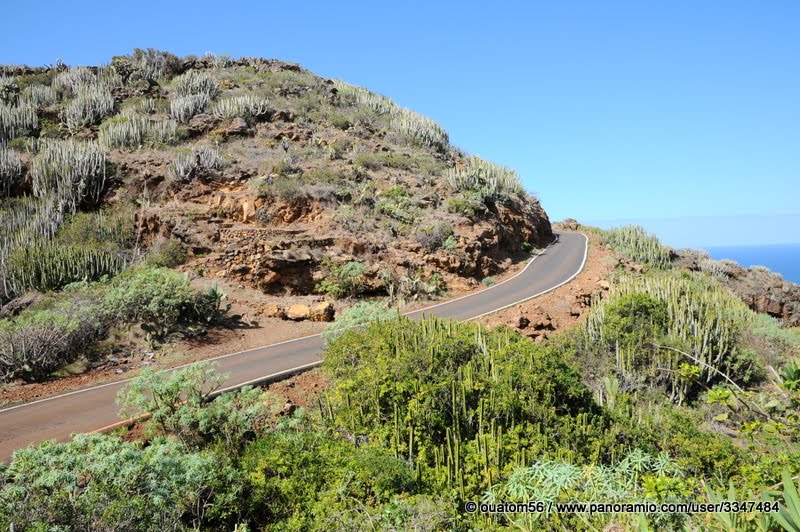 Carretera entre los cactus by ouatom56