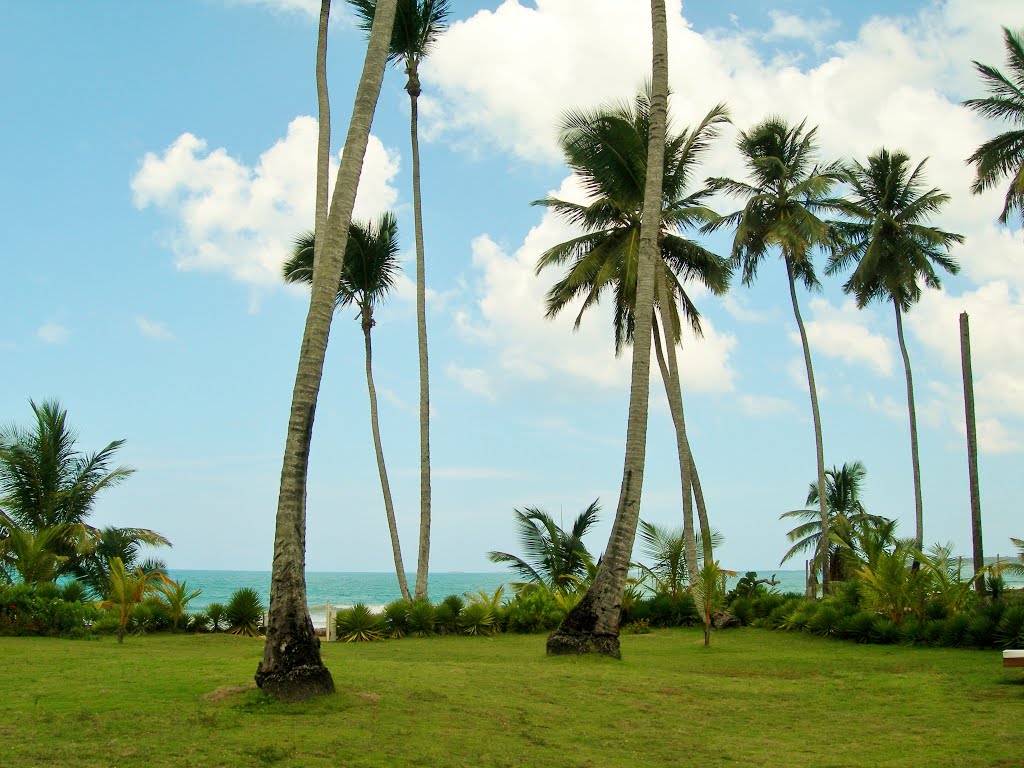 In the garden of restaurant the Beach, Coson, Samana, Dominican Republic by Hans33