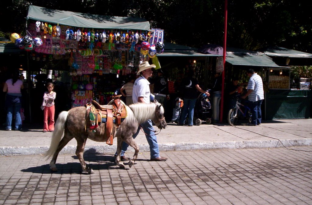 Paseo en Pony (M. Arriero) by Mario Arriero