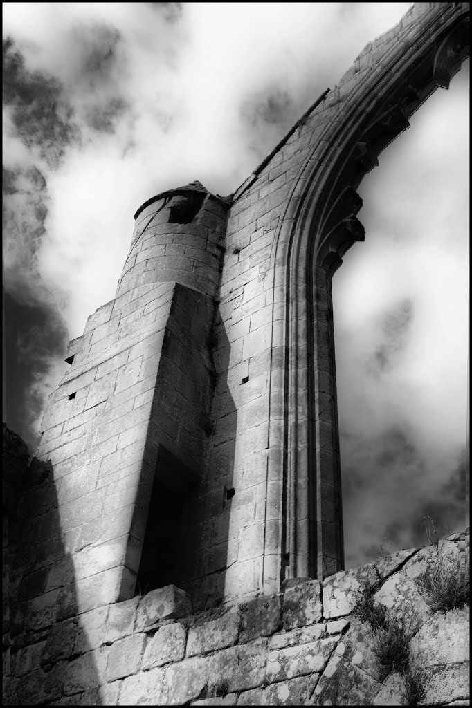 Haughmond Abbey by Antiplod