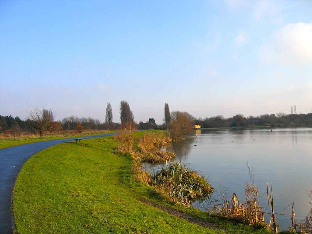 Northern end of Swan Pool by pedrocut