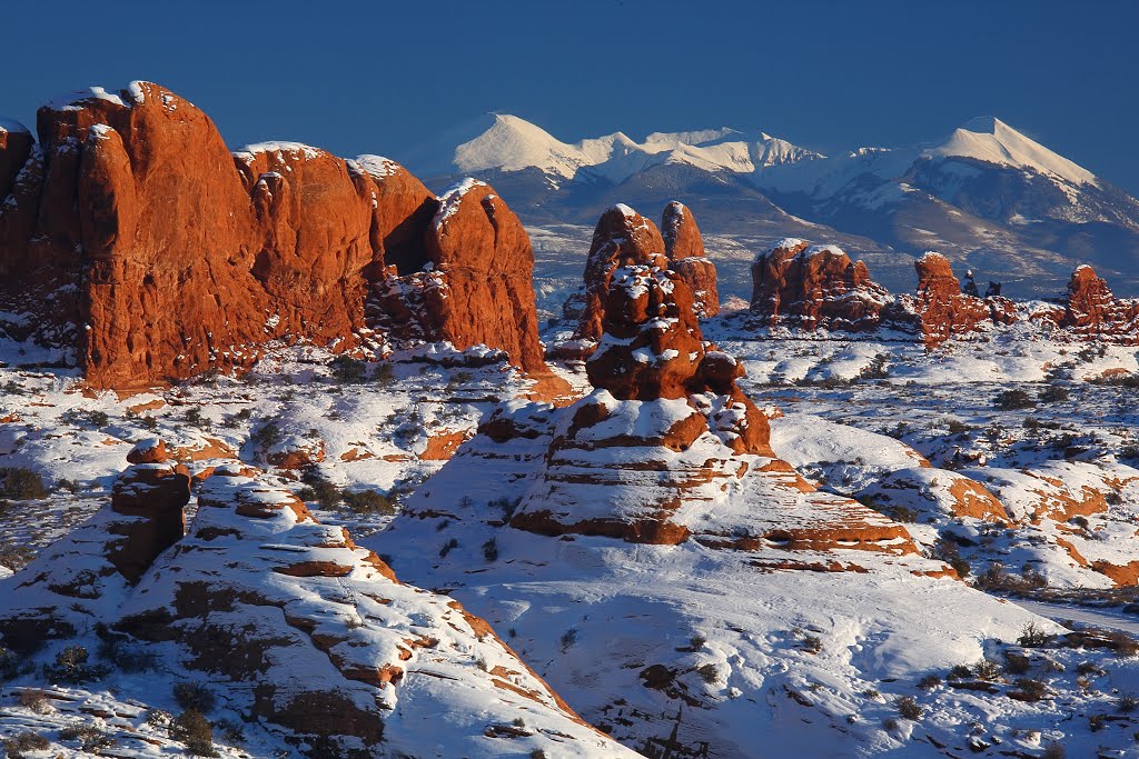 Frozen in time, La Sal winter view by rblekicki