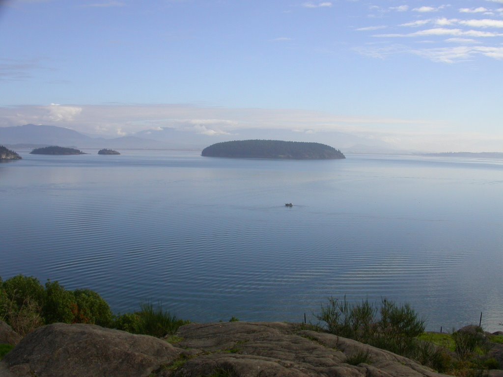 Fidalgo Bay from Anacortes by gary.capra