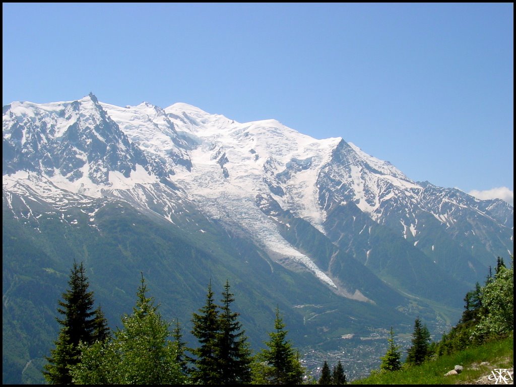 L'Aiguille du Midi et le Mont-Blanc vus de la Flégère by ANDRE GARDELLA