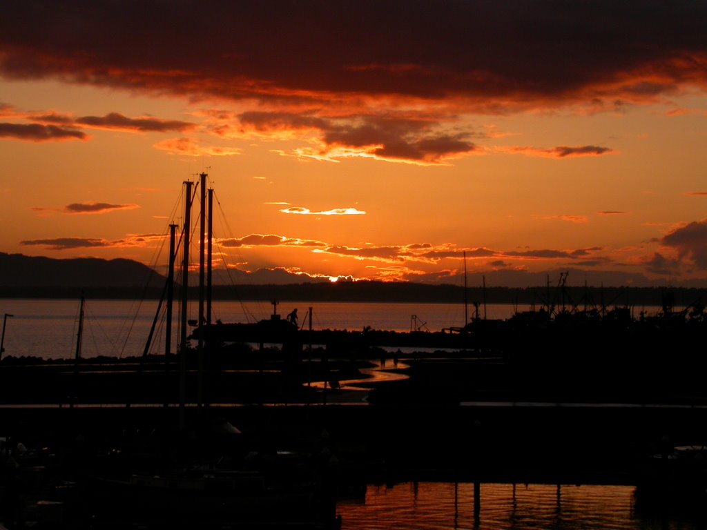 Zuanich Park, Squalicum Harbor by gary.capra