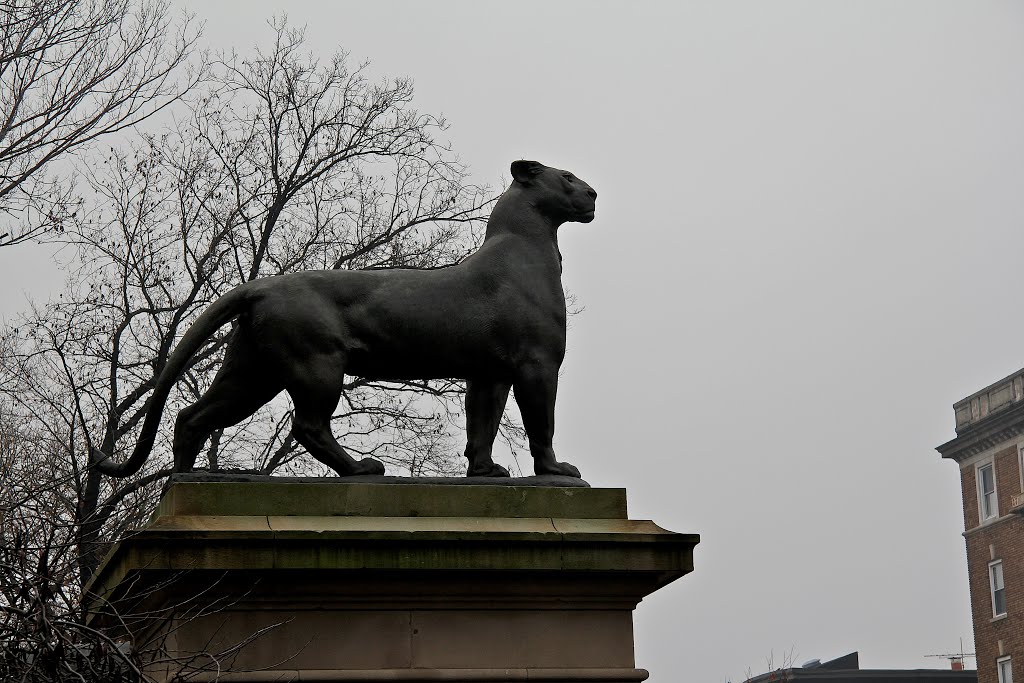 One of two Panthers in Prospect Park on 3rd Street West by Manfred Delong