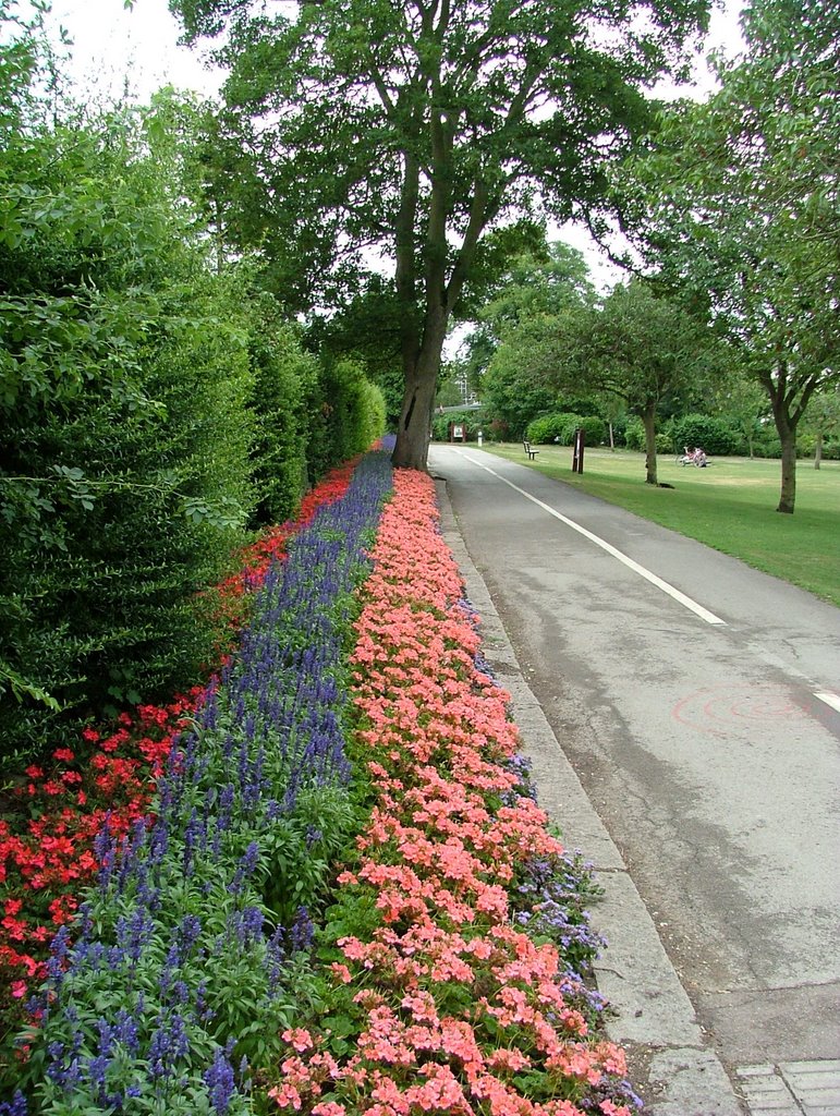 Gadebridge park by Steve & Theresa Gray