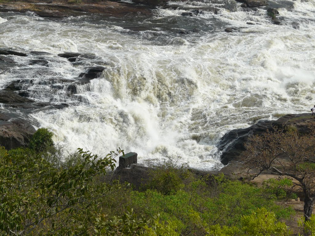 Murchison Falls. by naz.us.hunt@mail.ru