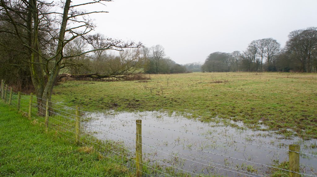 Footpath towards Deanwater Hotel by Dennis Neill