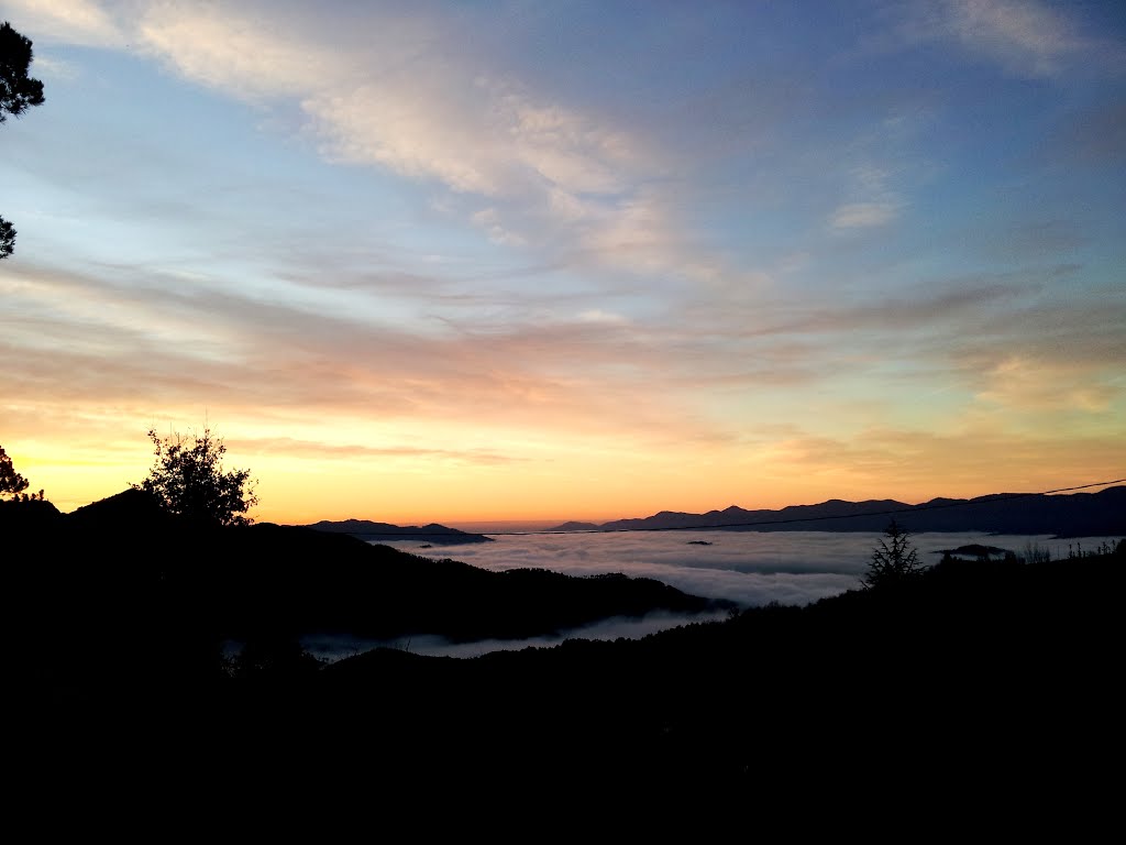 Nebbia in val di vara by Andrea Pogez