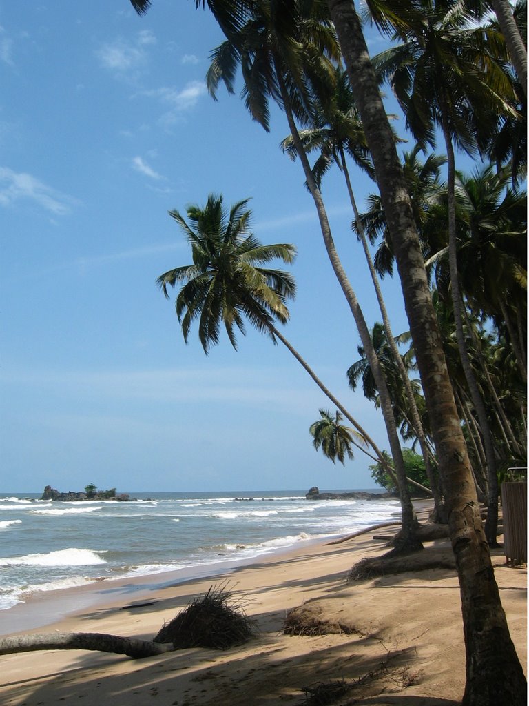 Ankobra Beach by Phil Johnson