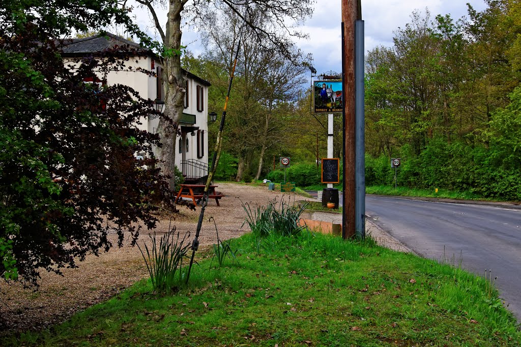 The Donkey & Buskins pub & restaurant, Layer de la Haye, Colchester, Essex, May 2012 by keithb