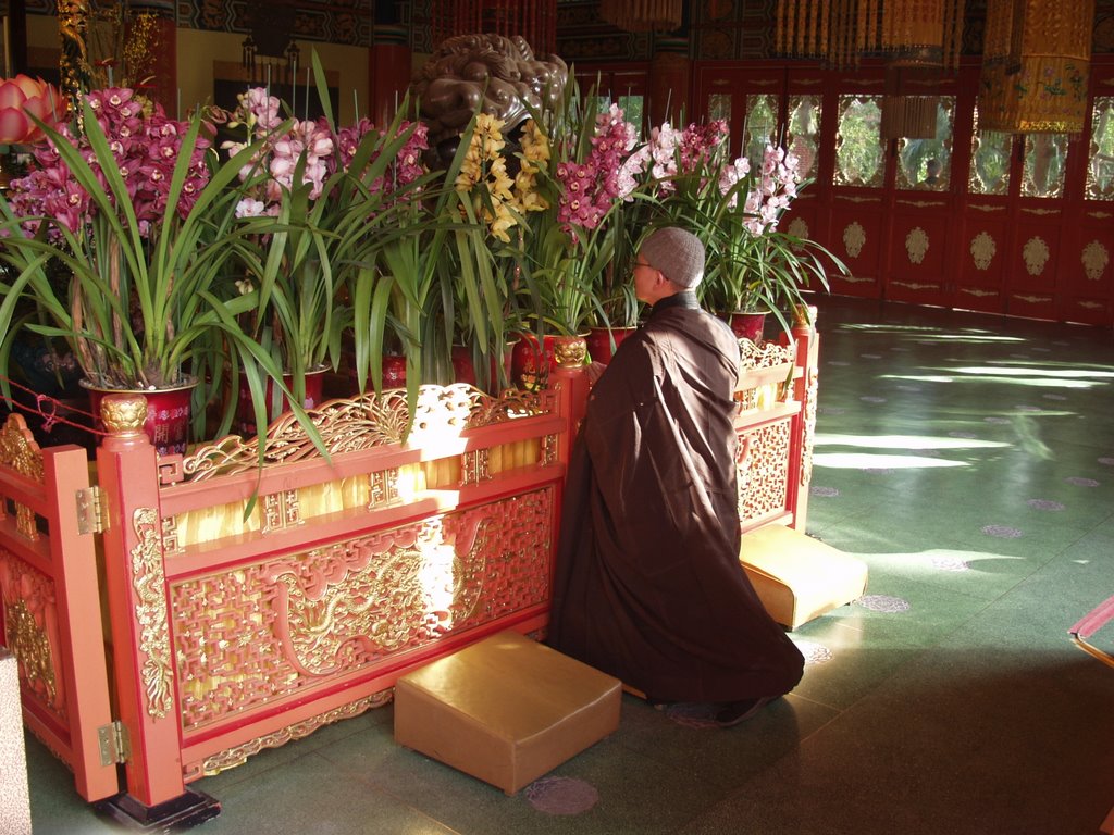 Po Lin Monastery by 2-mas