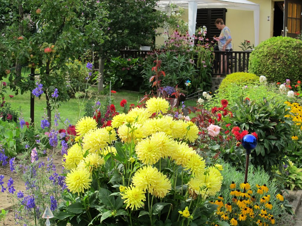 Blumenpracht in Nachbars Garten by Siegfried Sommer