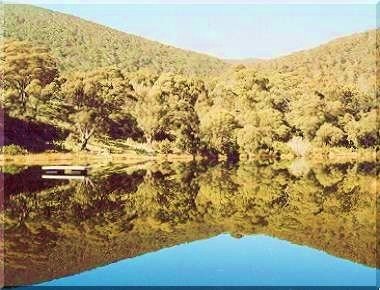 Thredbo reflection by dj pete