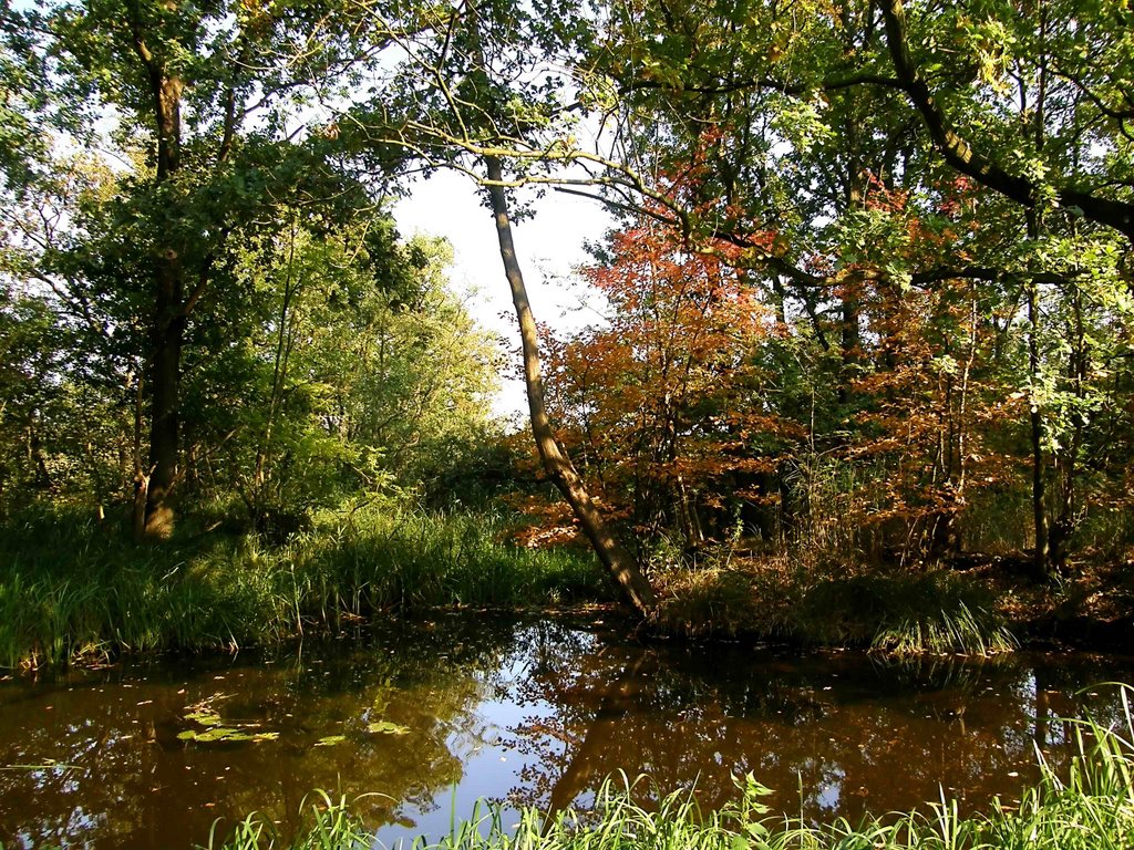 Netherlands, Baarn, Groeneveld Park, Sept. 2007 by senna3