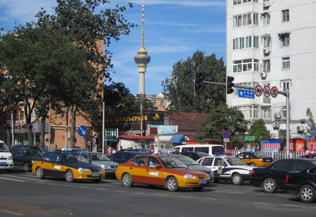 Wanshoulu 万寿路 and tv tower by kenner116