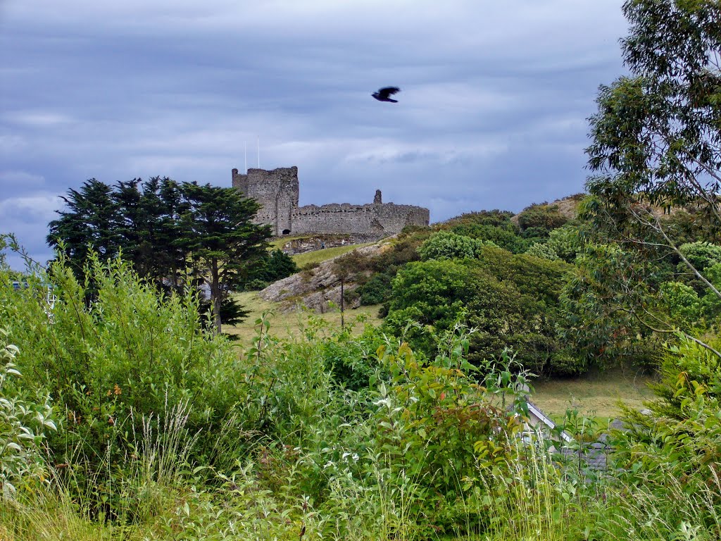 Criccieth, by Yanat