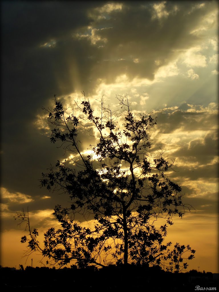 Silhouette ....{by Bassam} by ~Bassam