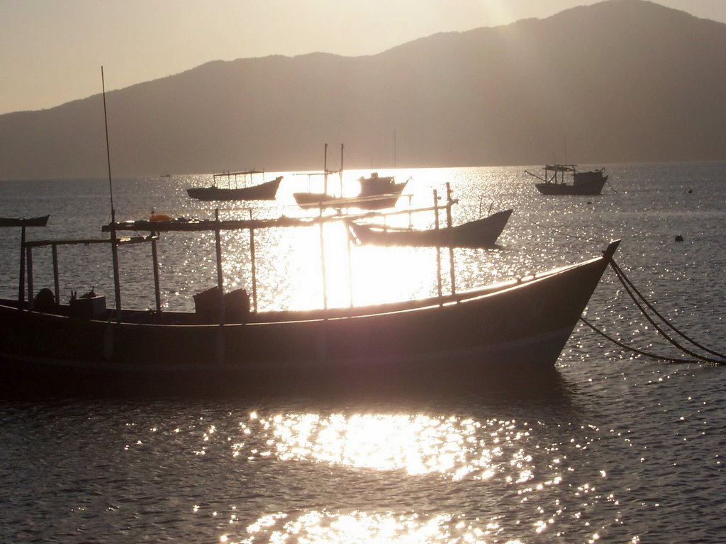 Baia de Canto Grande fim de tarde by lclobao