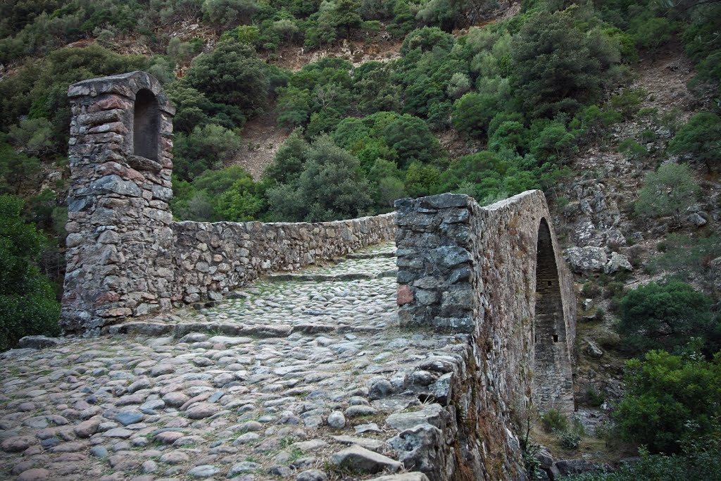 Ponte Vecchiu, Ota, Corsica by Hubert J