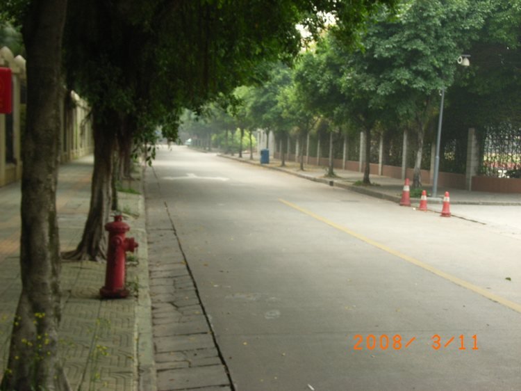 春晓街 Chunxiao Street. by sanderluohao