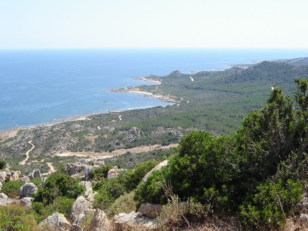 Capo Comino seen from above by Riccardo Lazzeretti